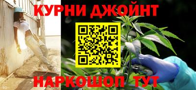 гидра Старая Купавна
