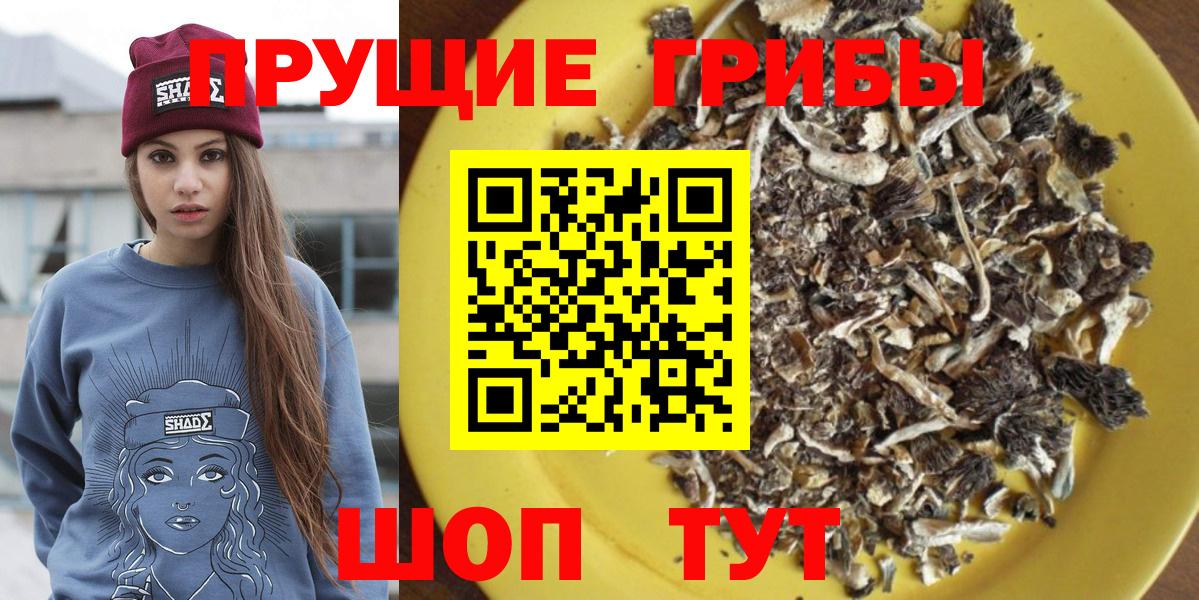 Псилоцибиновые грибы Psilocybe  Вход с VPN  Ростов Великий  Псилоцибиновые грибы Cubensis 